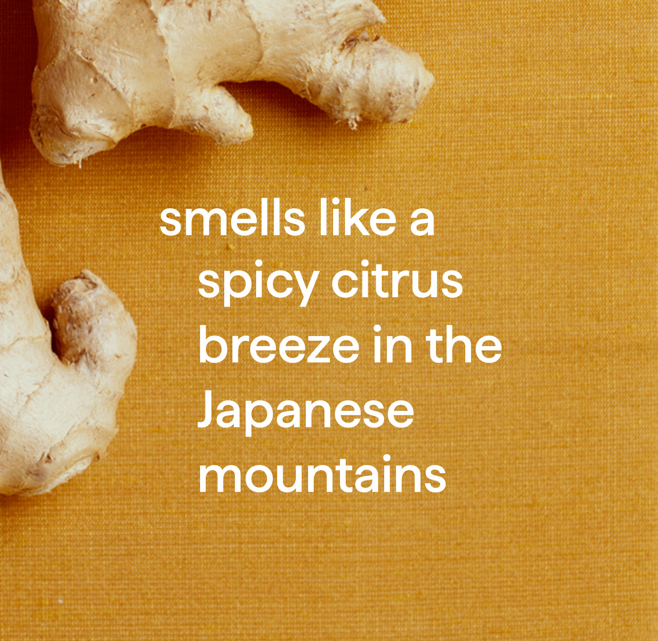 All-Purpose Cleaner - Ginger Yuzu, 28 Fl Oz - Image 4