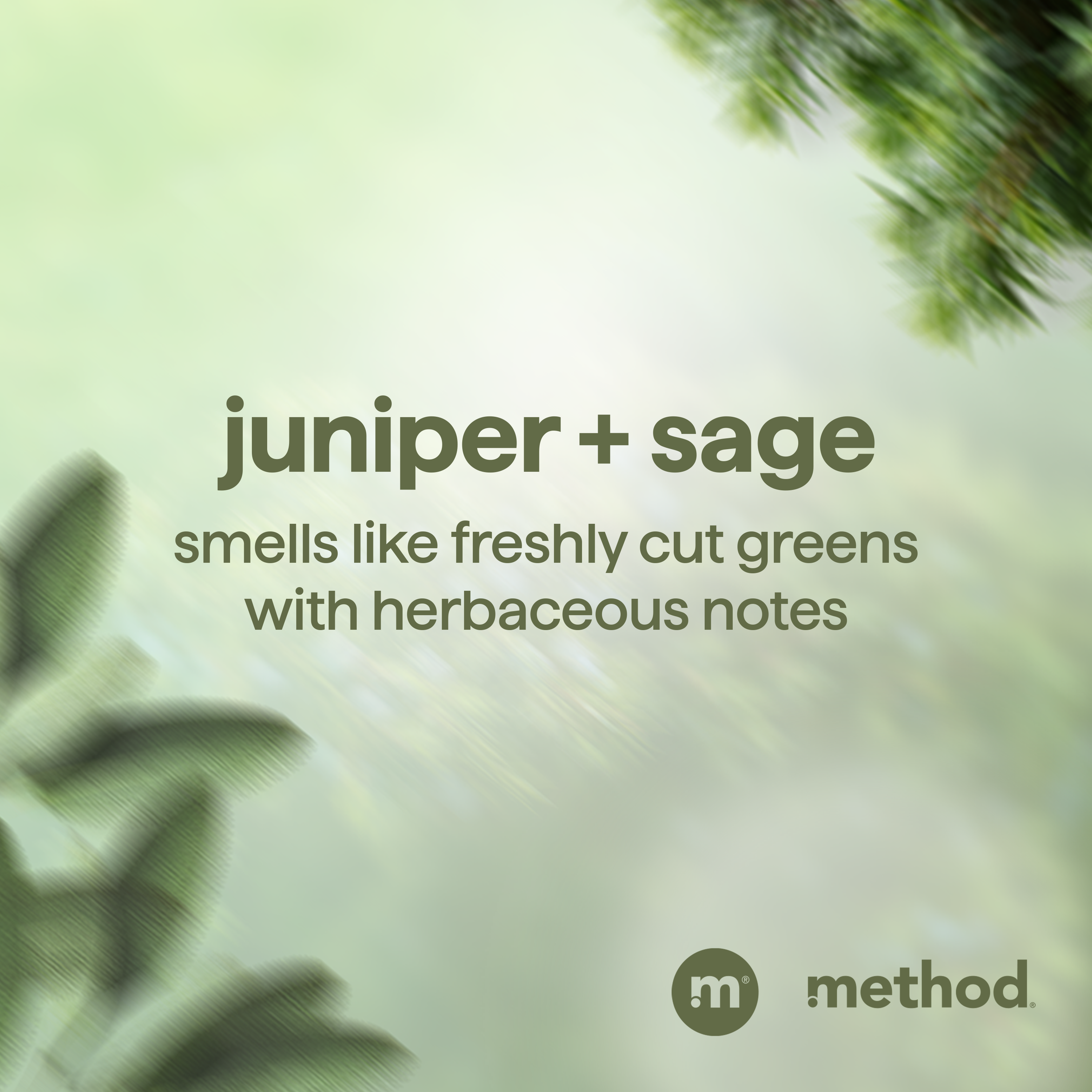 Men 2-In-1 Shampoo + Conditioner - Juniper + Sage, 14 Fl Oz - Image 7